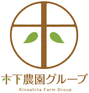 年末の金時人参がピーク