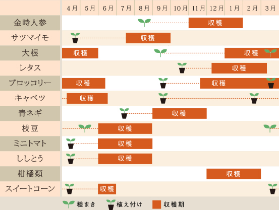 生産スケジュール